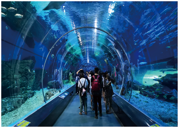 1622010202929890.png 20-冠固達(dá)品牌-硅酮膠(G668硬-3).png